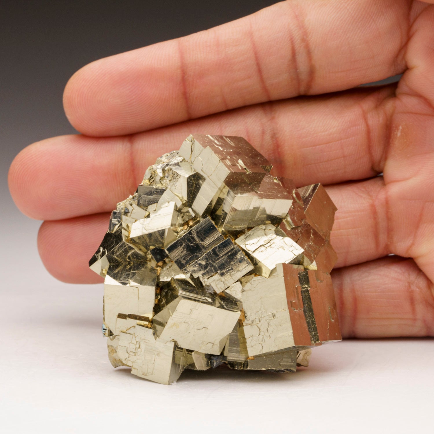 Pyrite from Isola d'Elba, Tuscan Archipelago, Livorno, Italy