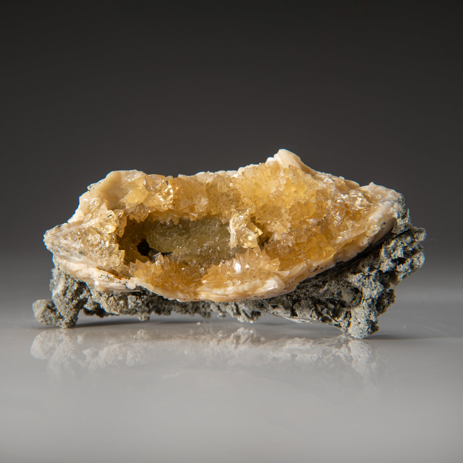 Calcite in Mercenaria Permagna from Ruck's Pit Quarry, Fort Drum, Okee ...