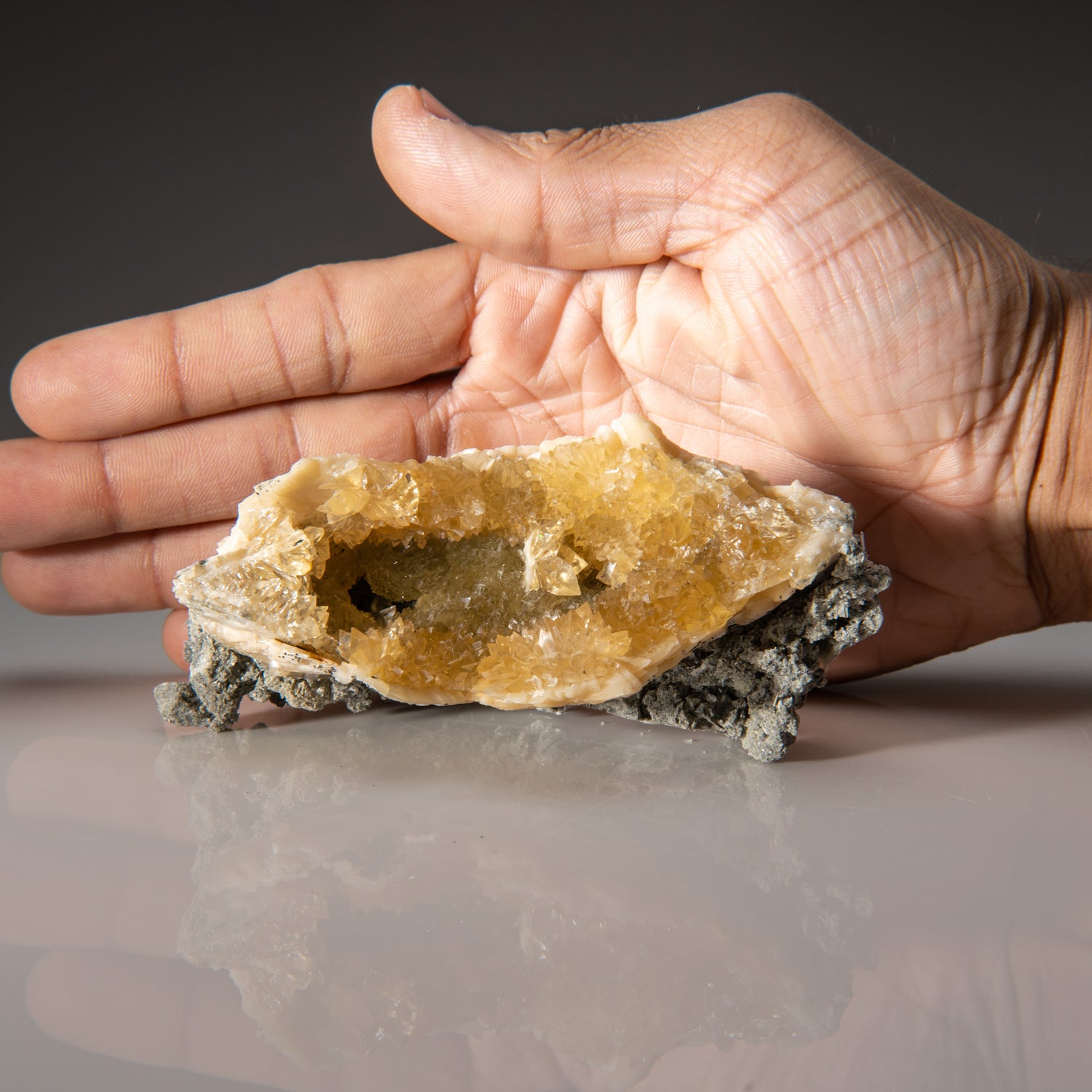 Calcite in Mercenaria Permagna from Ruck's Pit Quarry, Fort Drum, Okee ...