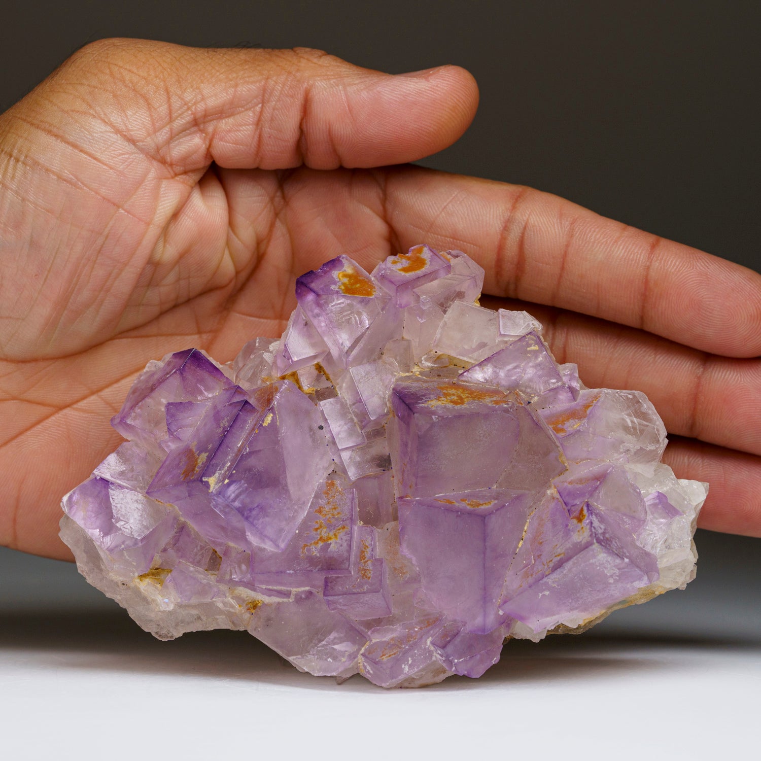 Purple Yellow Fluorite from Elmwood Mine, Carthage, Smith County, Tennessee