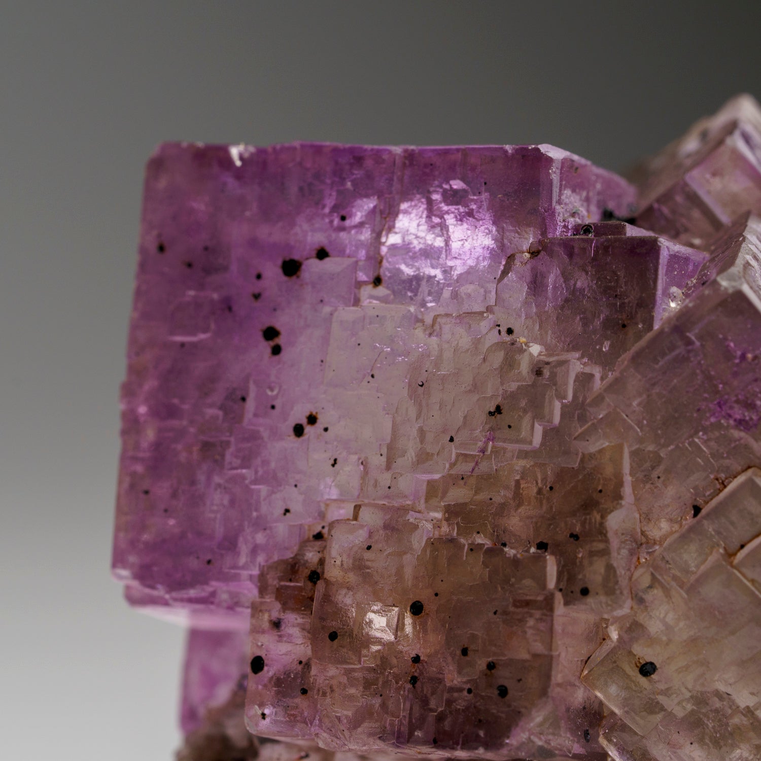 Purple Yellow Fluorite from Elmwood Mine, Carthage, Smith County, Tennessee