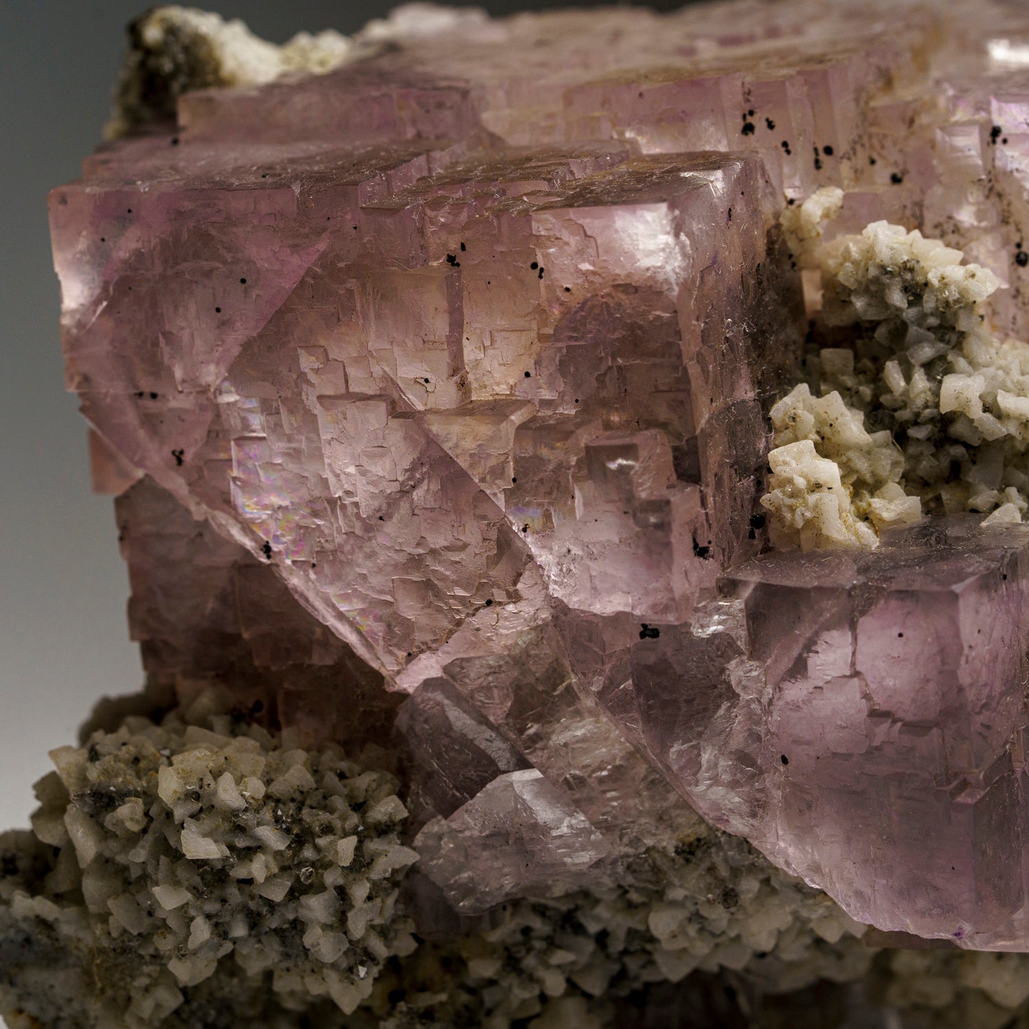 Purple Yellow Fluorite from Elmwood Mine, Carthage, Smith County, Tennessee