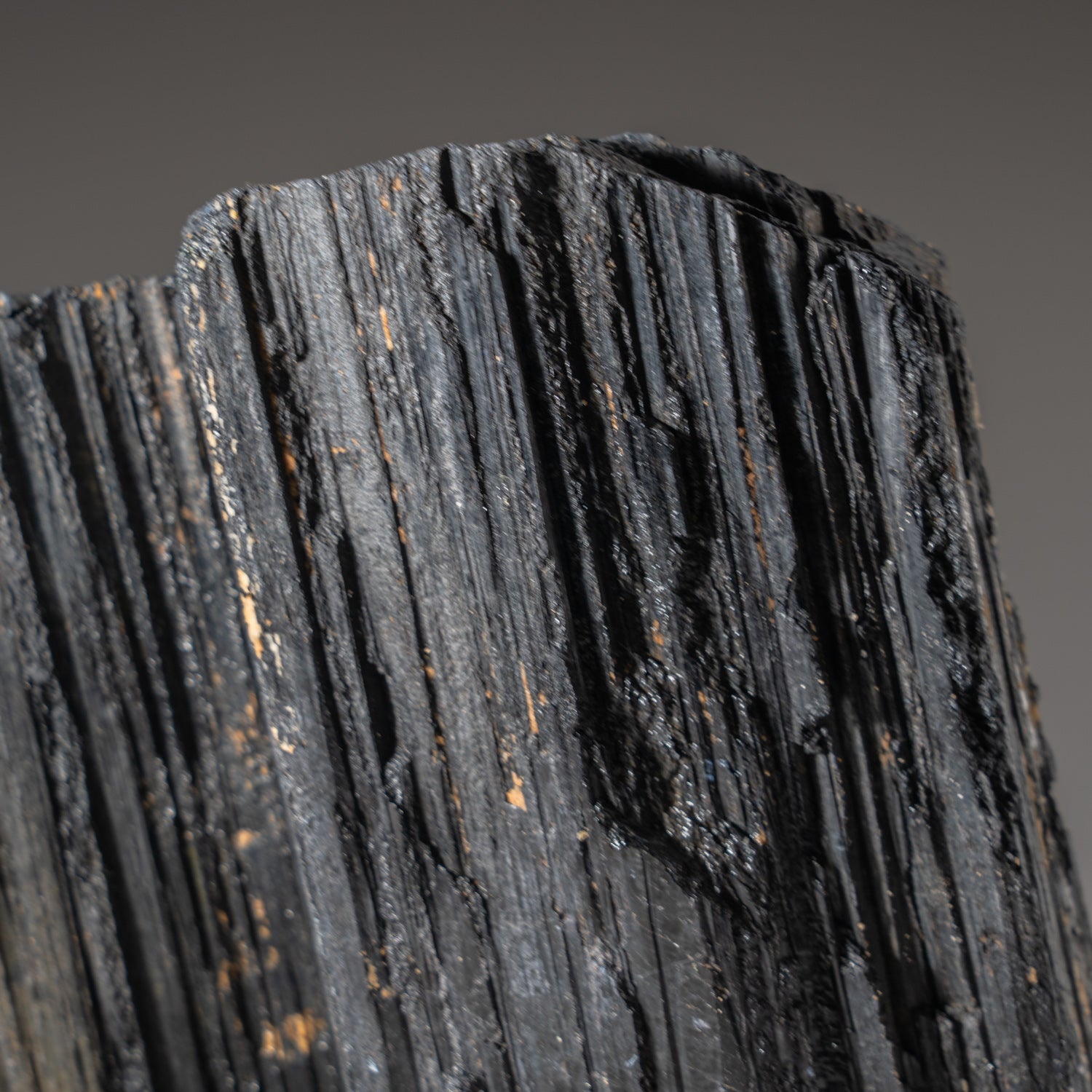 Genuine Black Tourmaline Crystal From Brazil (3.25 lbs)