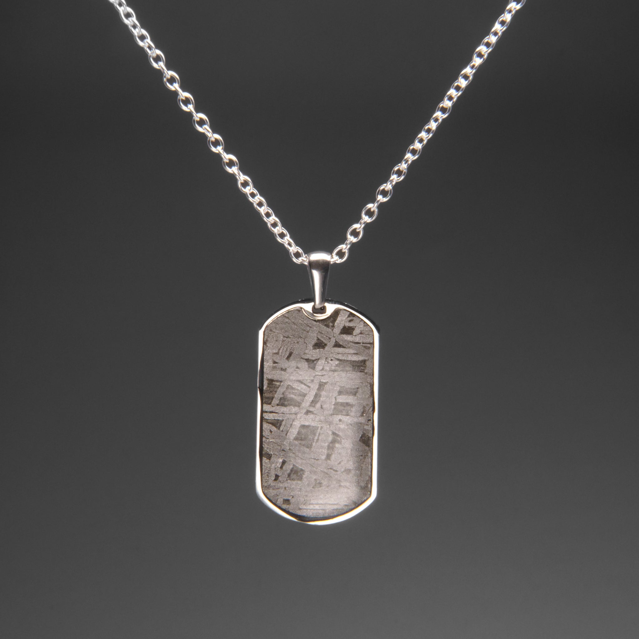 Muonionalusta Meteorite Dog Tag Pendant with 18" Sterling Silver Chain
