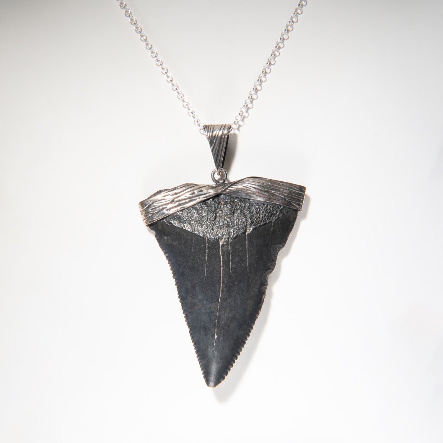 Genuine Megalodon Tooth Pendant (16.3 grams) with 18" Sterling Silver Chain