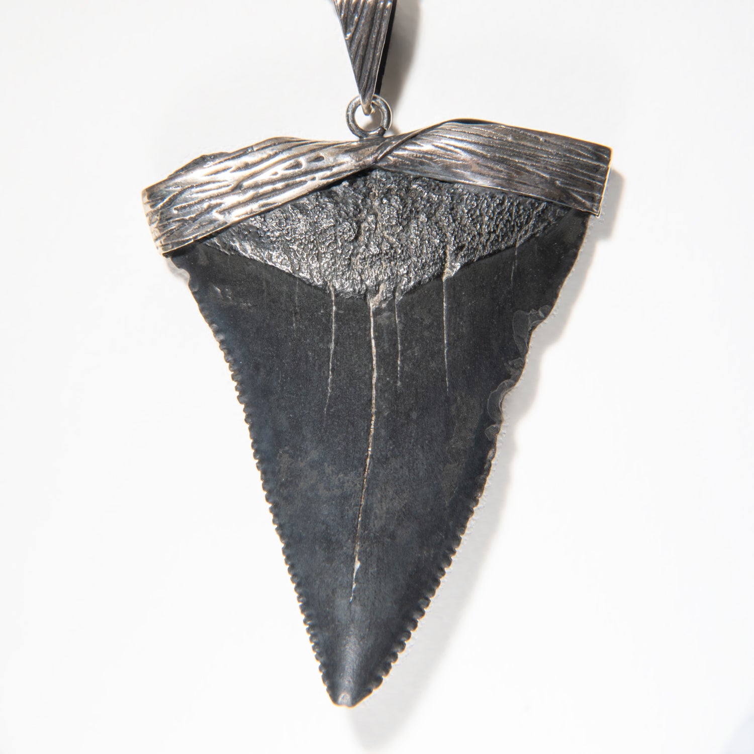 Genuine Megalodon Tooth Pendant (16.3 grams) with 18" Sterling Silver Chain