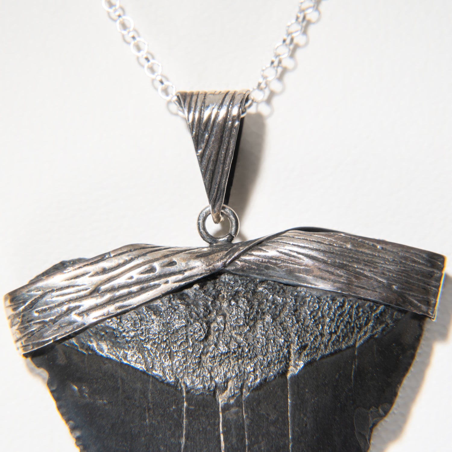 Genuine Megalodon Tooth Pendant (16.3 grams) with 18" Sterling Silver Chain