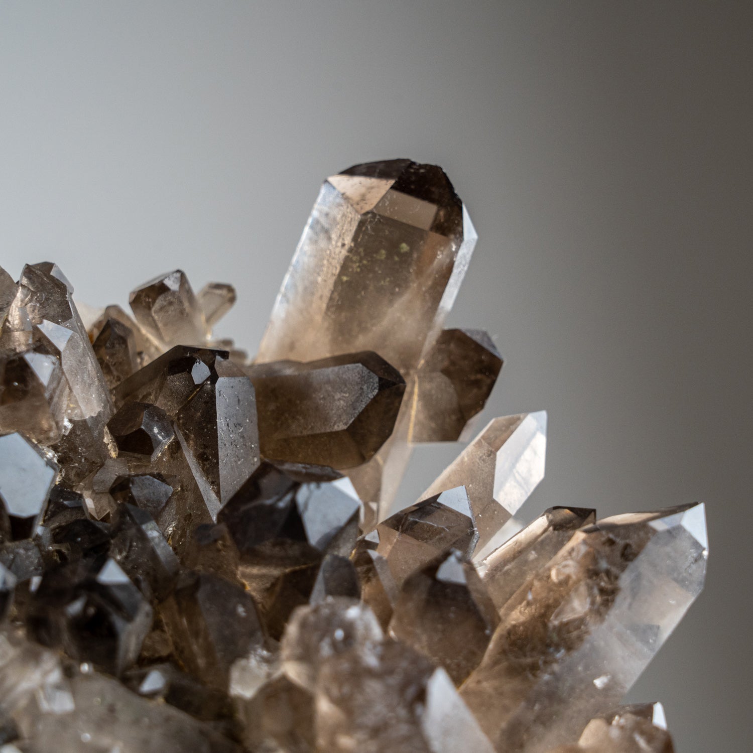 Genuine Smoky Quartz Crystal Cluster from Mina Gerais, Brazil (5 lbs)