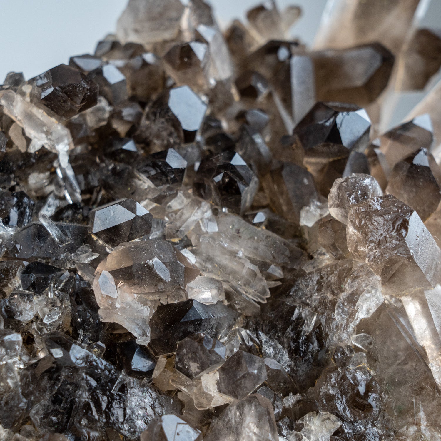 Genuine Smoky Quartz Crystal Cluster from Mina Gerais, Brazil (5 lbs)