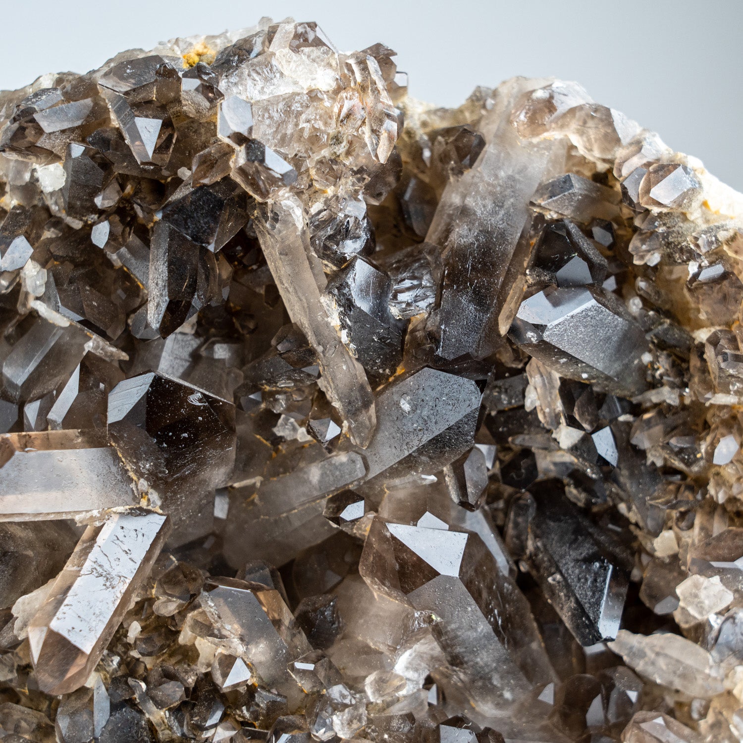 Genuine Smoky Quartz Crystal Cluster from Mina Gerais, Brazil (5.5 lbs)