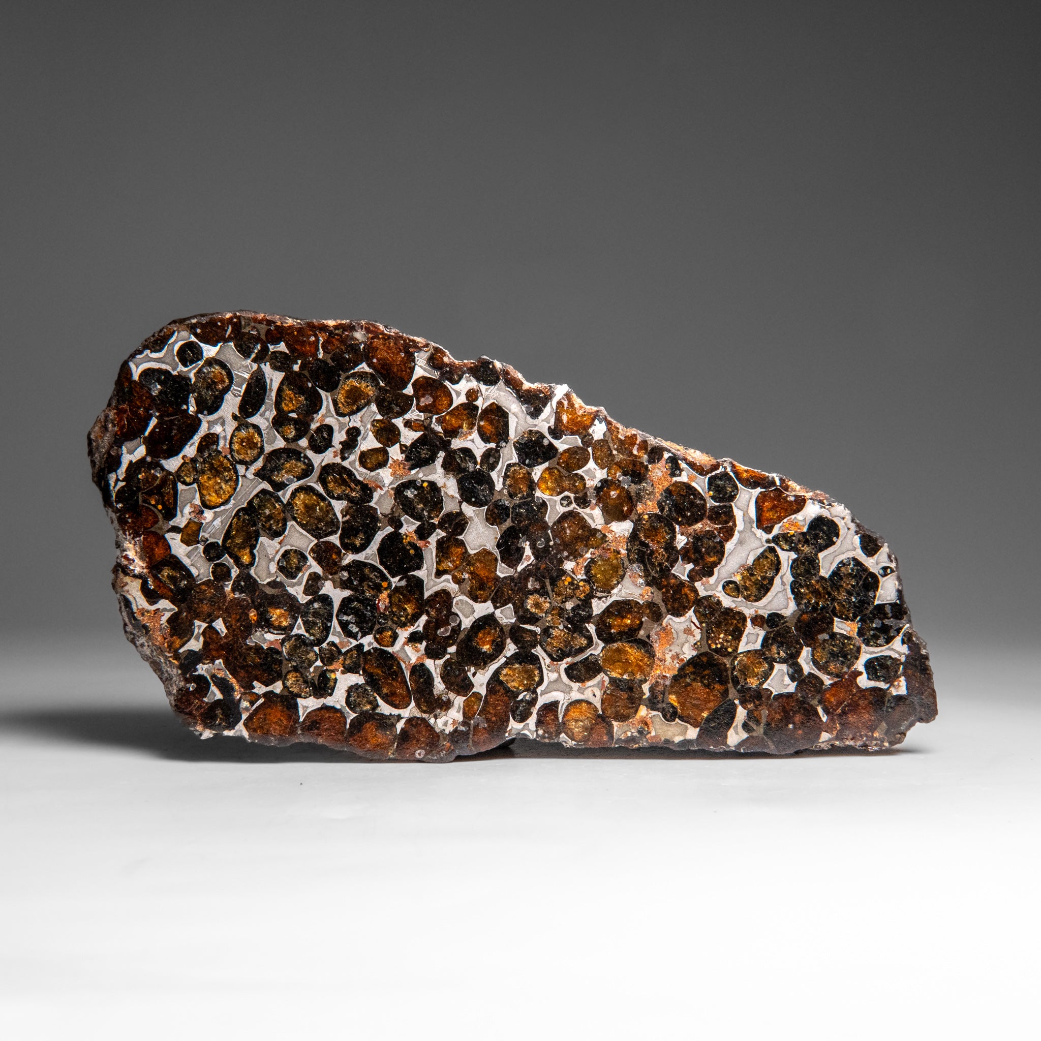 Genuine Sericho Pallasite Meteorite (394.3 grams)
