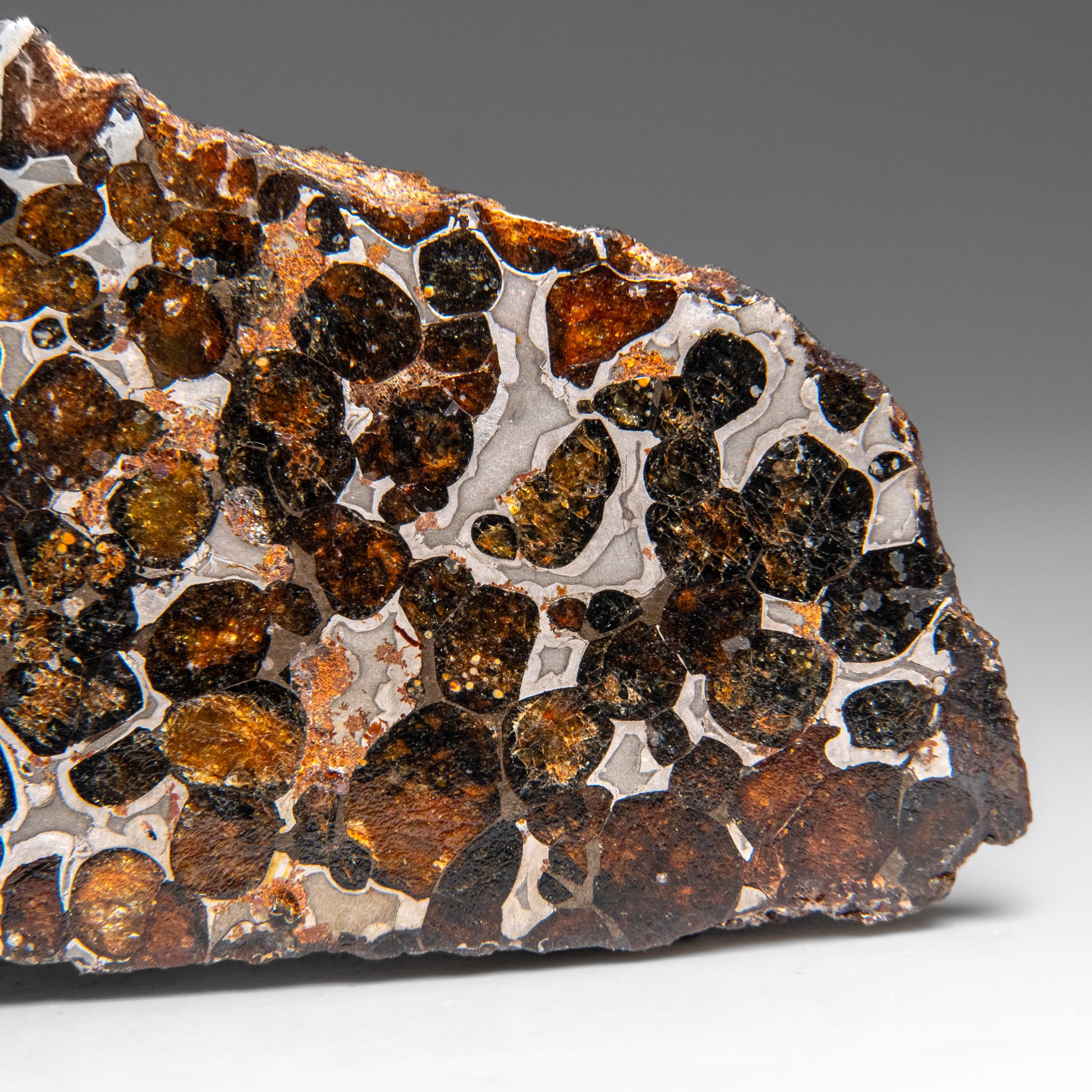Genuine Sericho Pallasite Meteorite (394.3 grams)