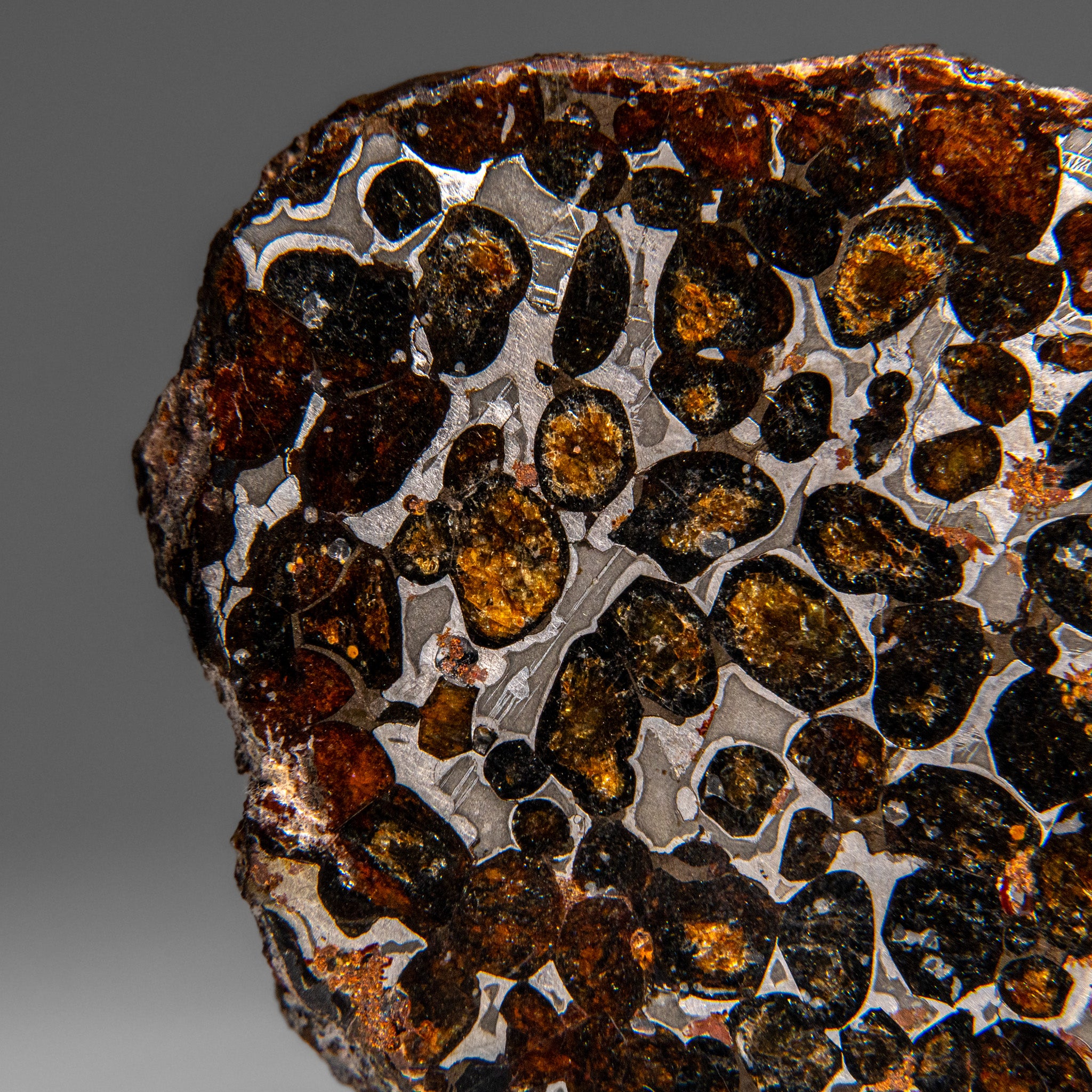 Genuine Sericho Pallasite Meteorite (394.3 grams)