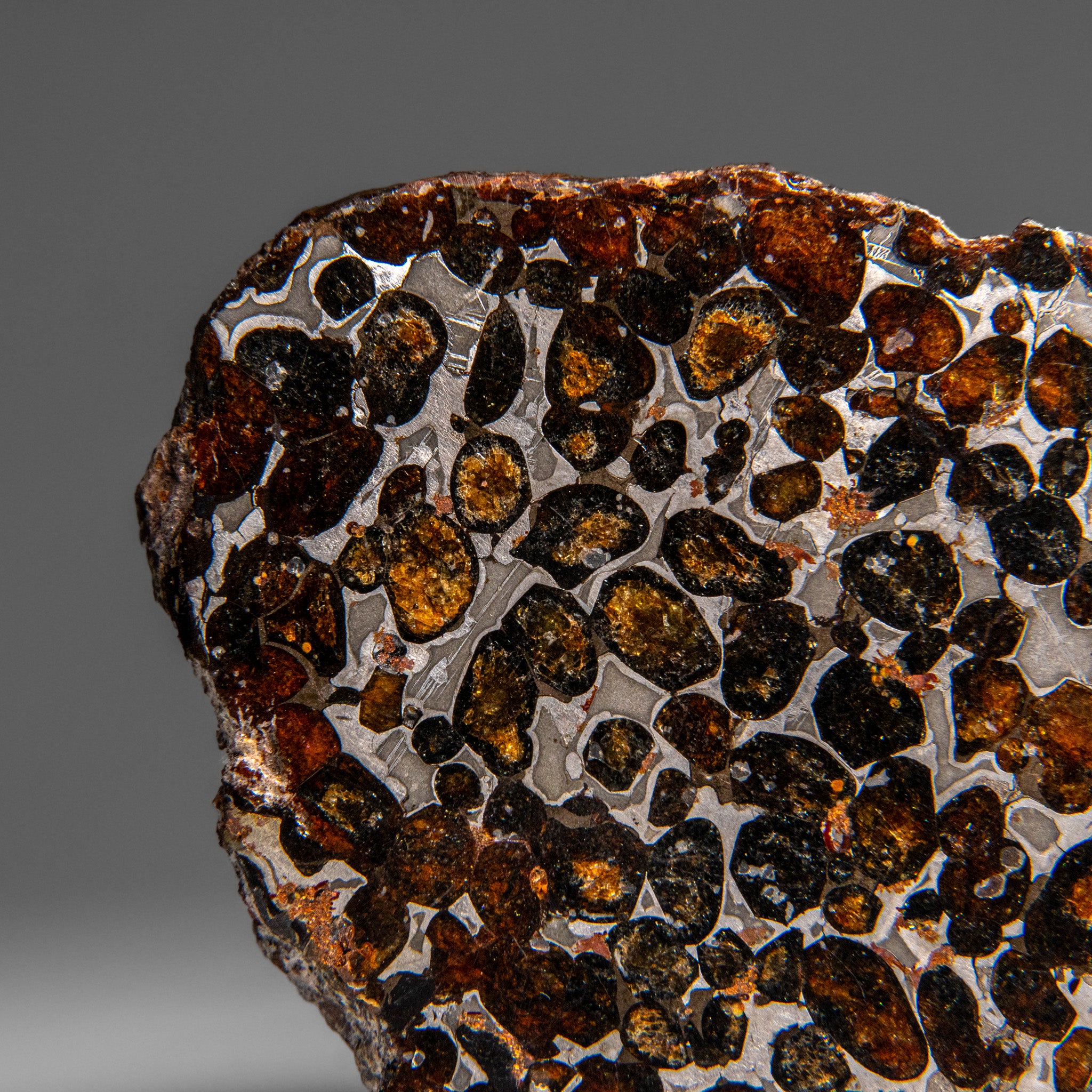 Genuine Sericho Pallasite Meteorite (394.3 grams)