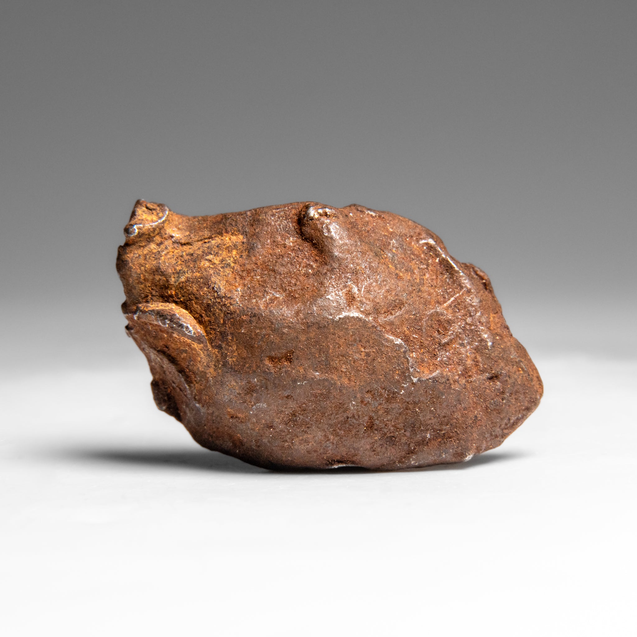 Genuine Gebel Kamil Meteorite from Egypt (65 grams)