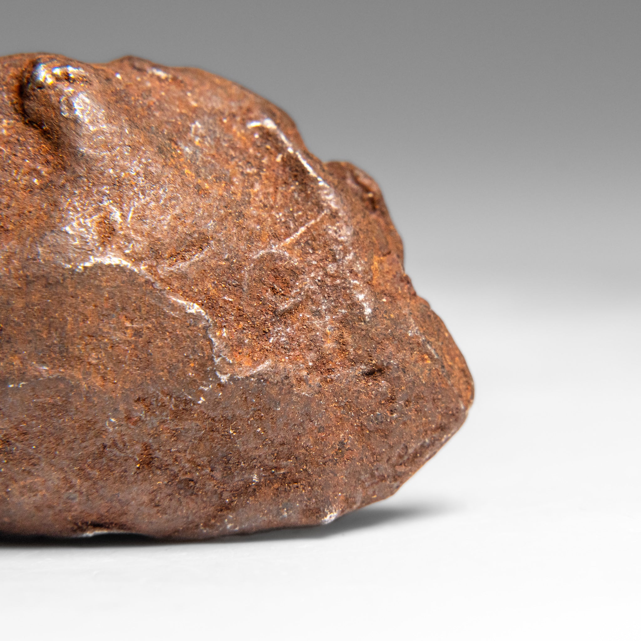 Genuine Gebel Kamil Meteorite from Egypt (65 grams)