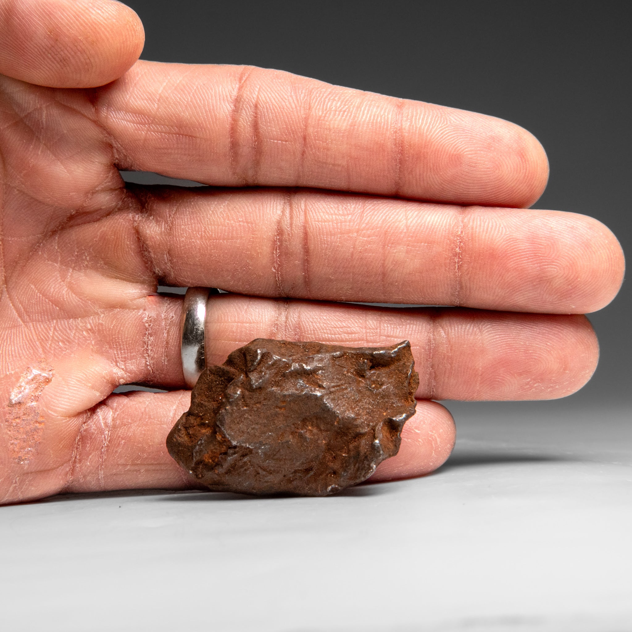 Genuine Gebel Kamil Meteorite from Egypt (65 grams)