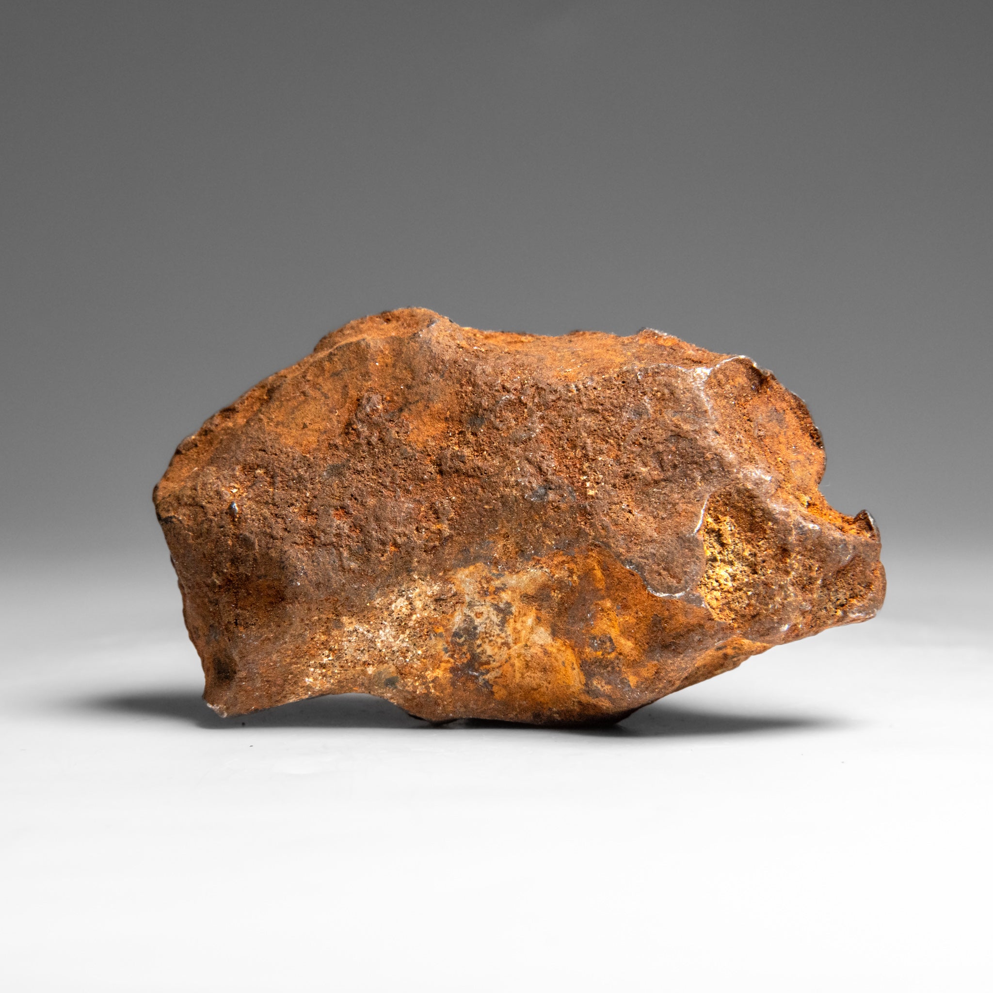 Genuine Gebel Kamil Meteorite from Egypt (242 grams)