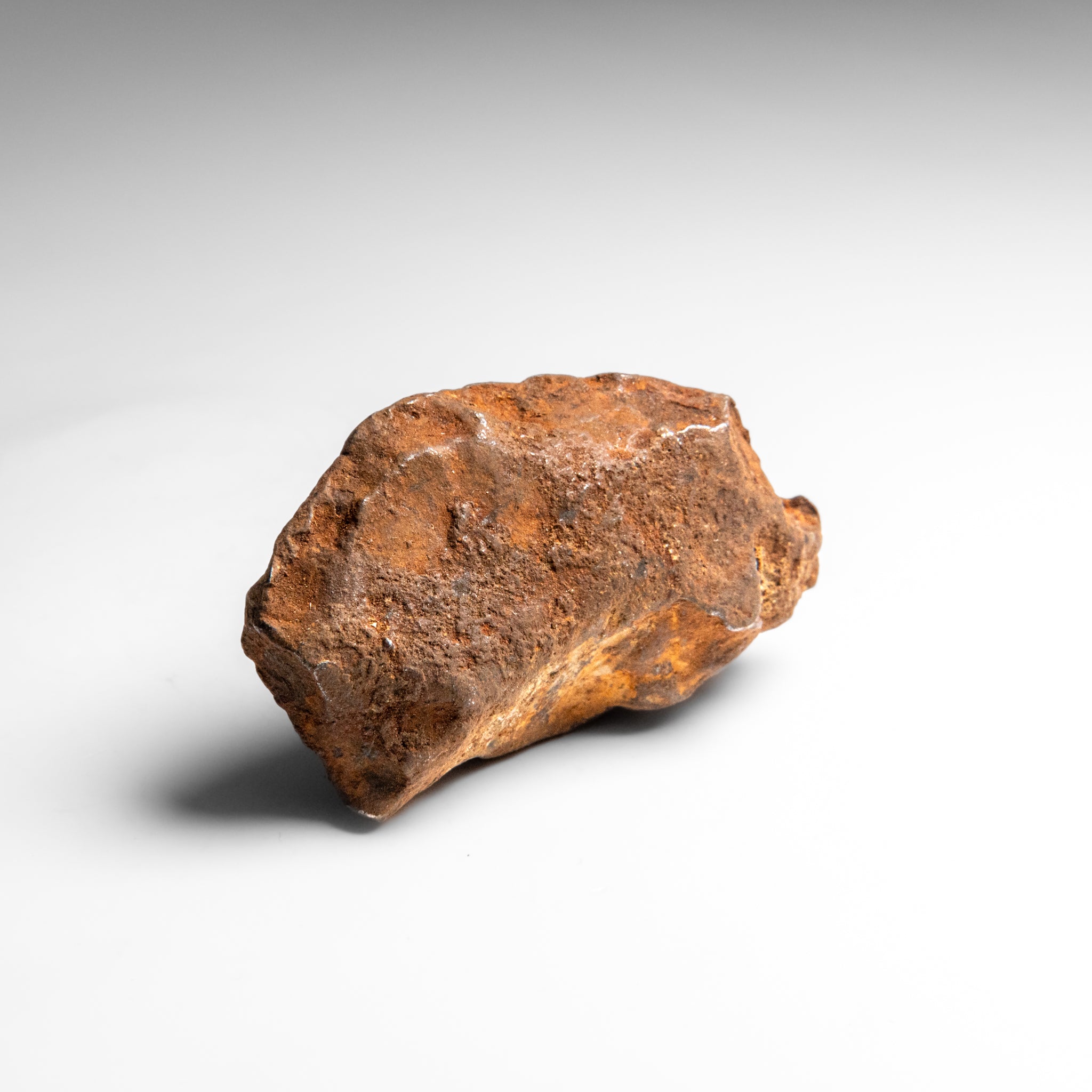 Genuine Gebel Kamil Meteorite from Egypt (242 grams)