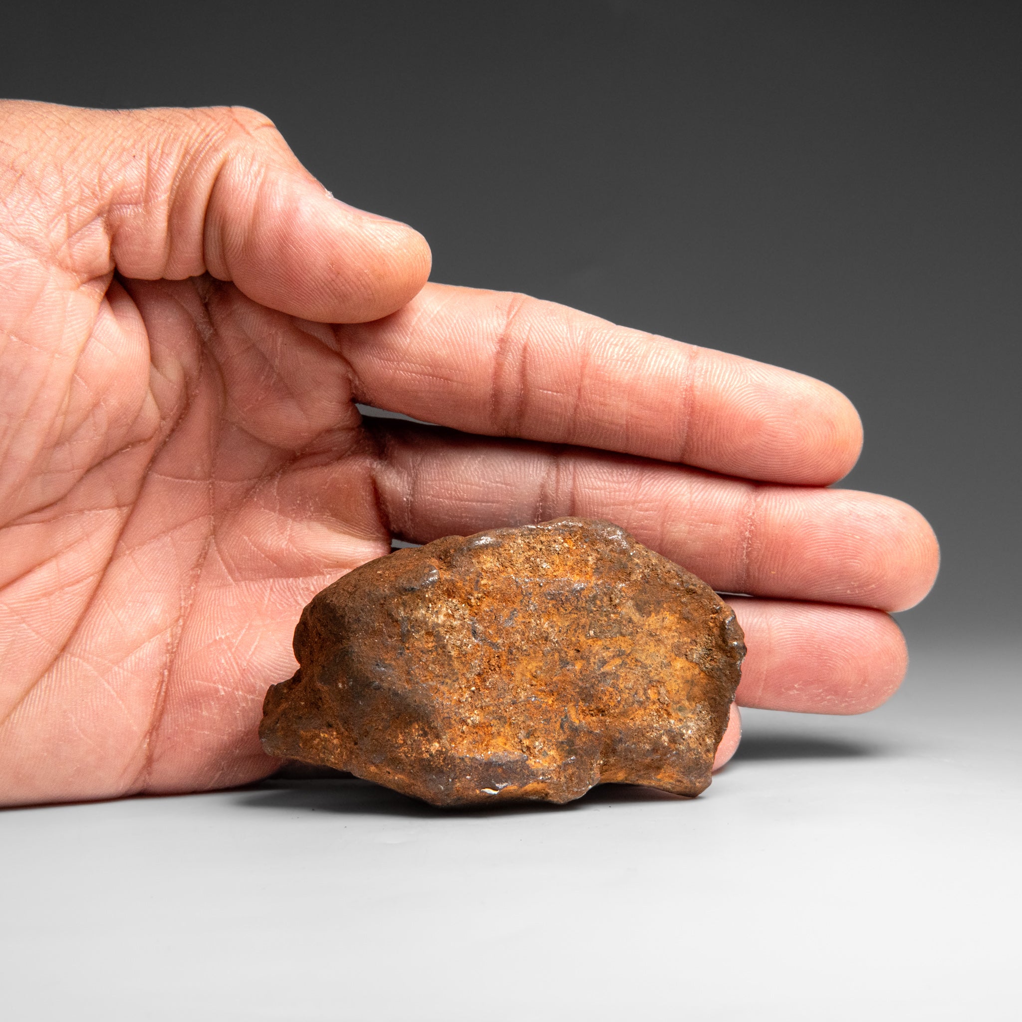 Genuine Gebel Kamil Meteorite from Egypt (242 grams)