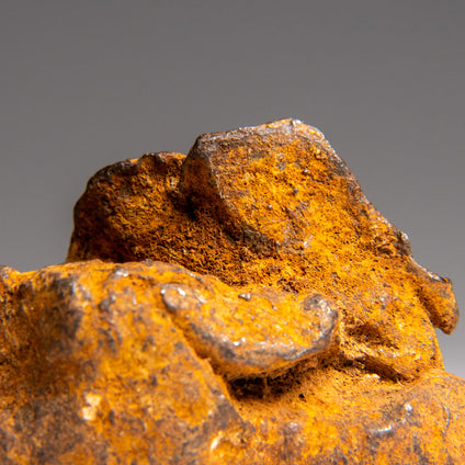 Meteorites Collection Buy Online at Astro Gallery, Cabinet Piece