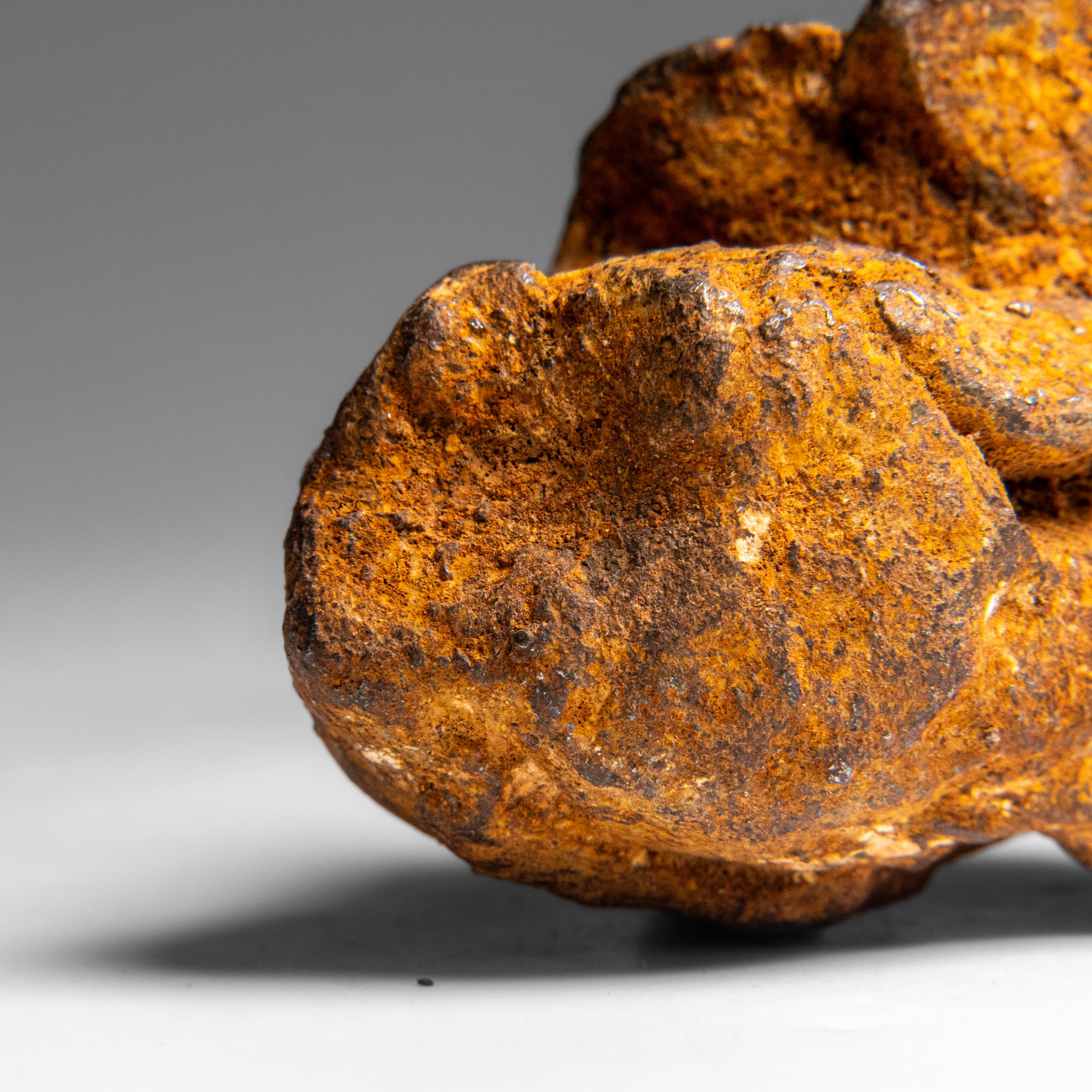 Genuine Gebel Kamil Meteorite from Egypt (360 grams)