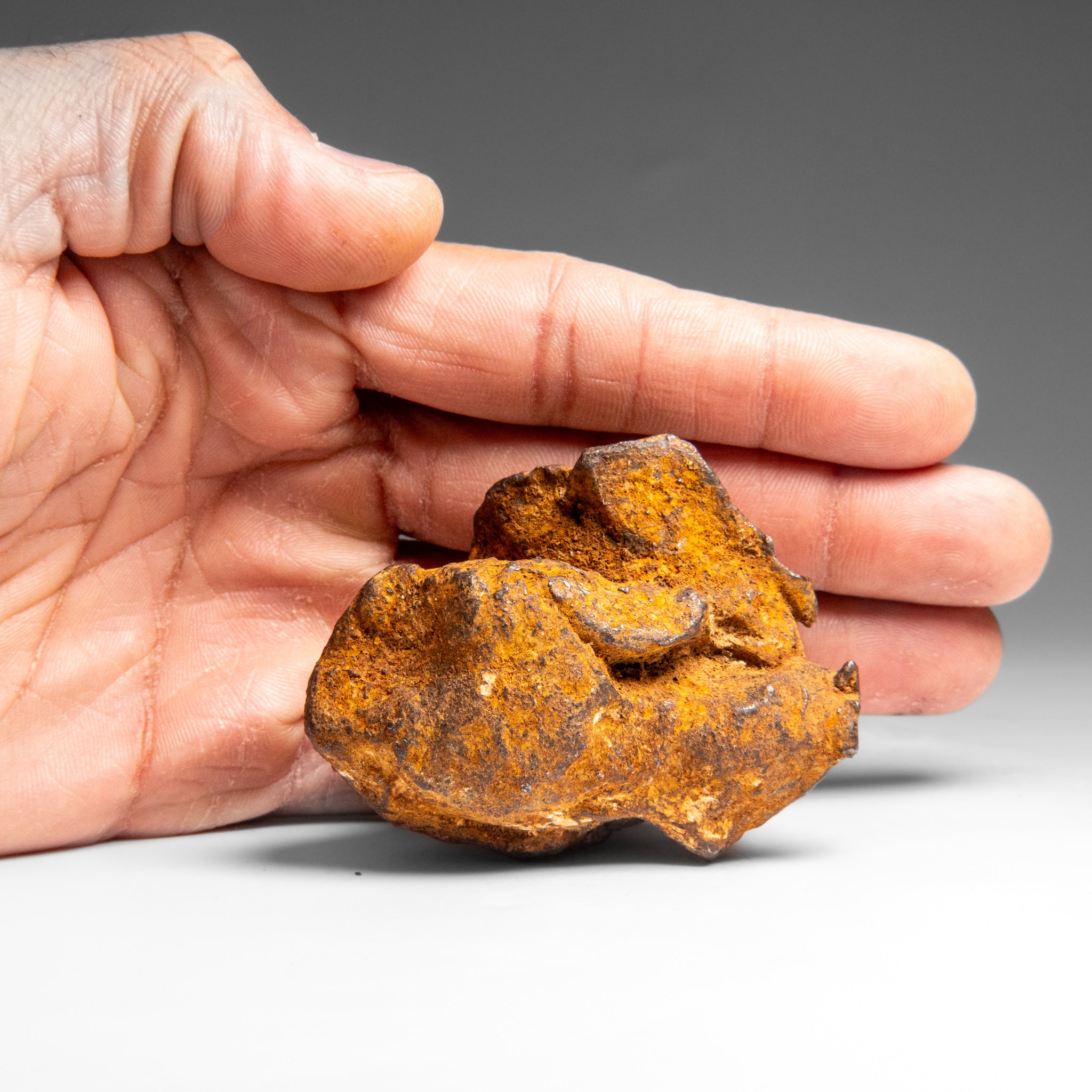 Genuine Gebel Kamil Meteorite from Egypt (360 grams)