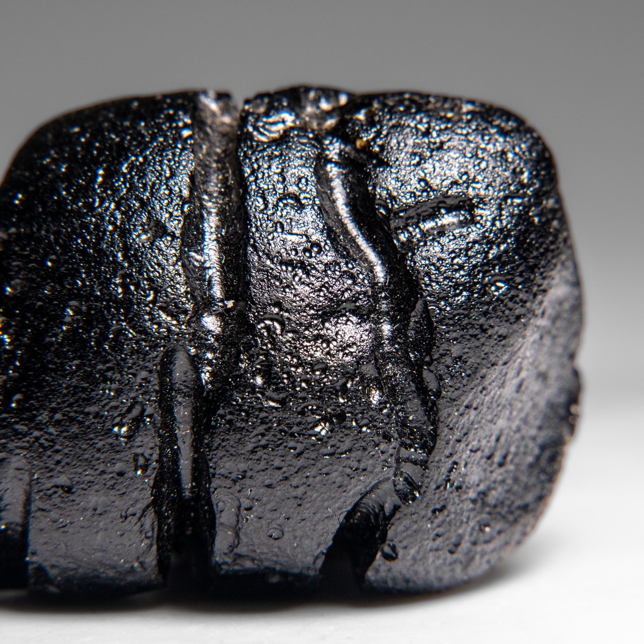 Genuine Museum Quality Indochinite Tektite (65.6 grams)