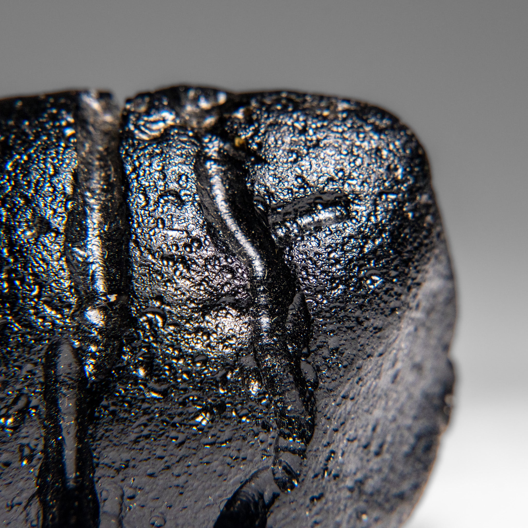 Genuine Museum Quality Indochinite Tektite (65.6 grams)