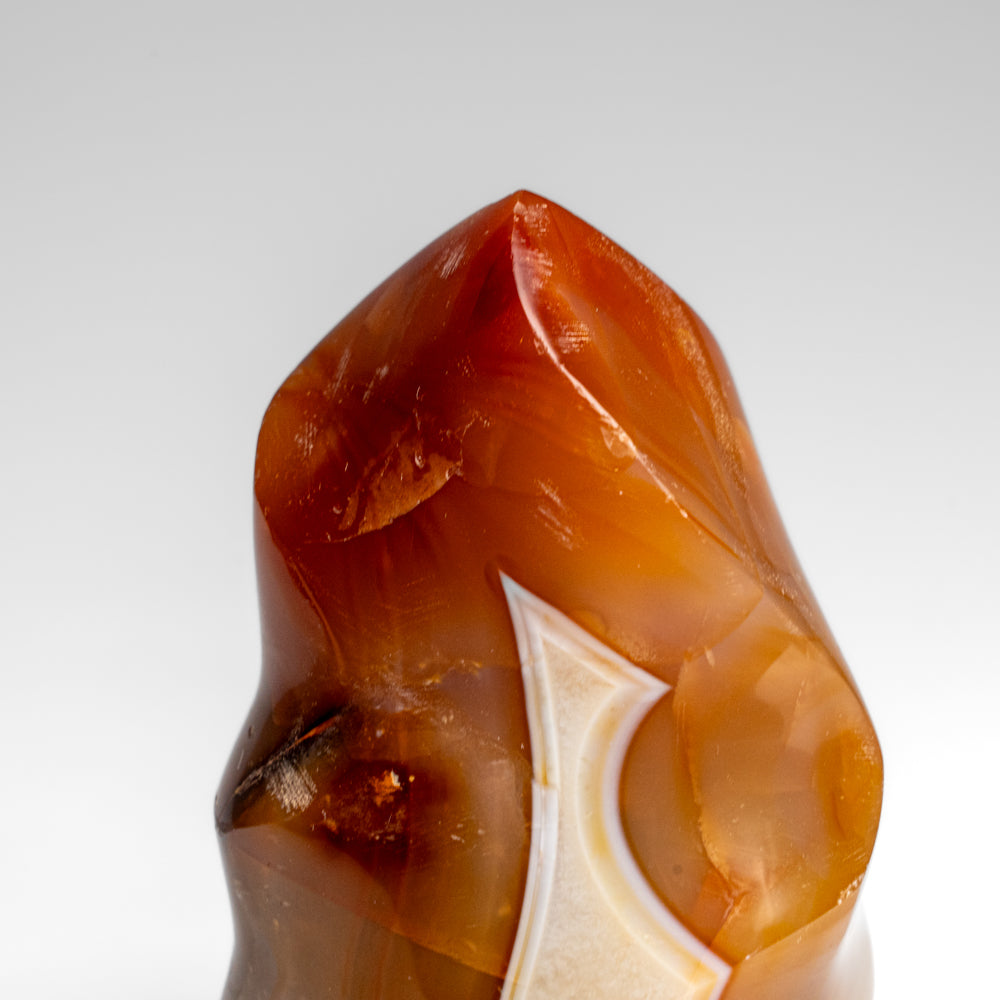 Polished Carnelian Agate Flame Freeform from Madagascar (355.8 grams)