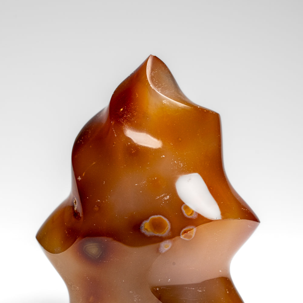 Polished Carnelian Agate Flame Freeform from Madagascar (298.7 grams)