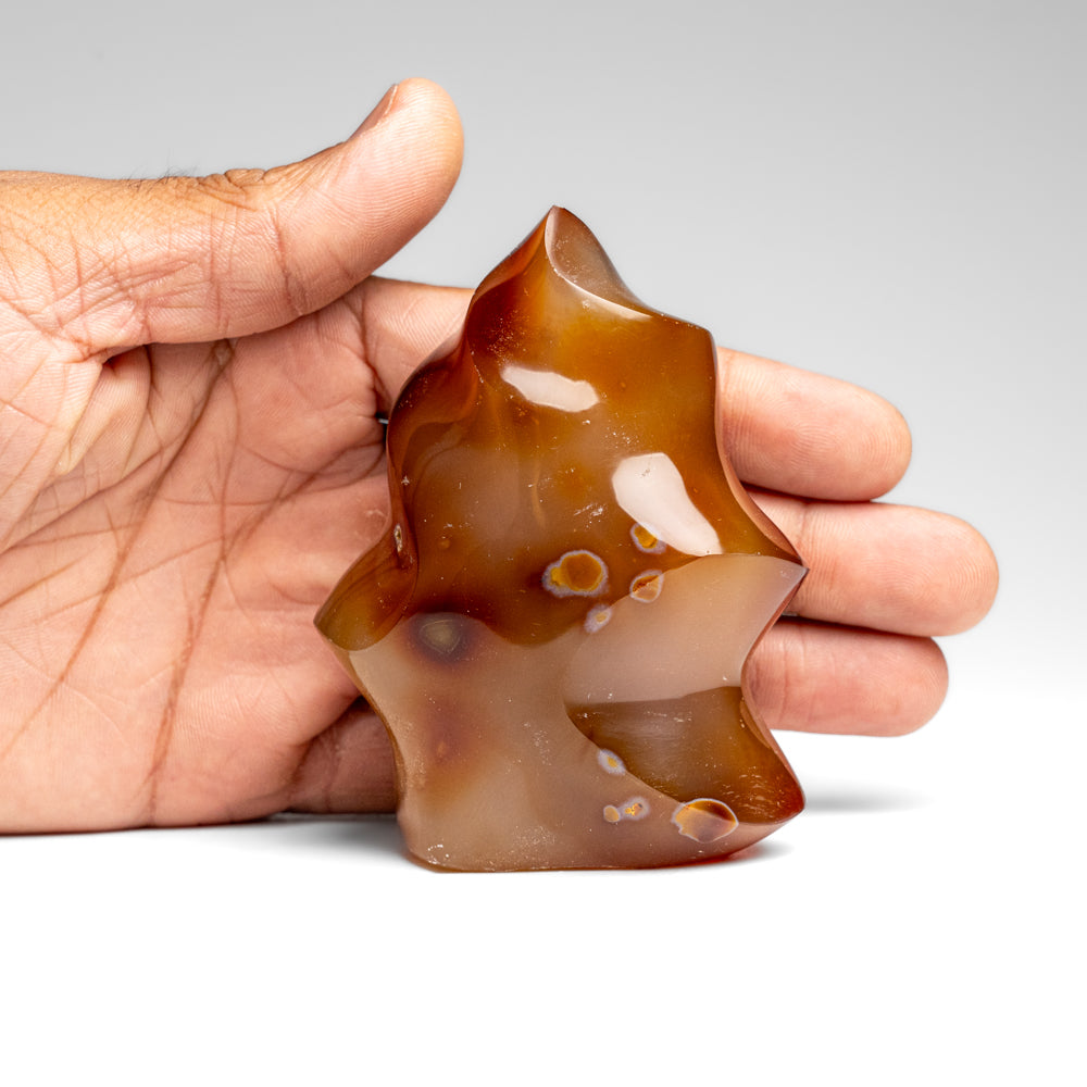 Polished Carnelian Agate Flame Freeform from Madagascar (298.7 grams)