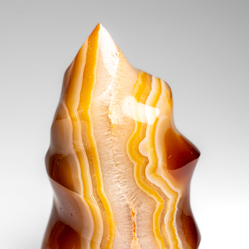 Polished Carnelian Agate Flame Freeform from Madagascar (592.4 grams)