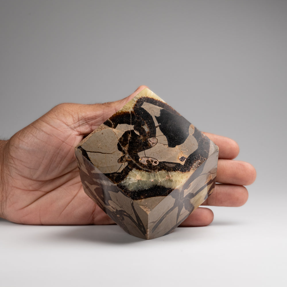 Polished Septarian Cube from Madagascar (1.7 lbs)