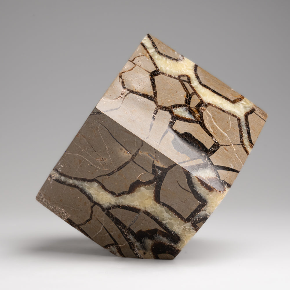 Polished Septarian Cube from Madagascar (2.3 lbs)