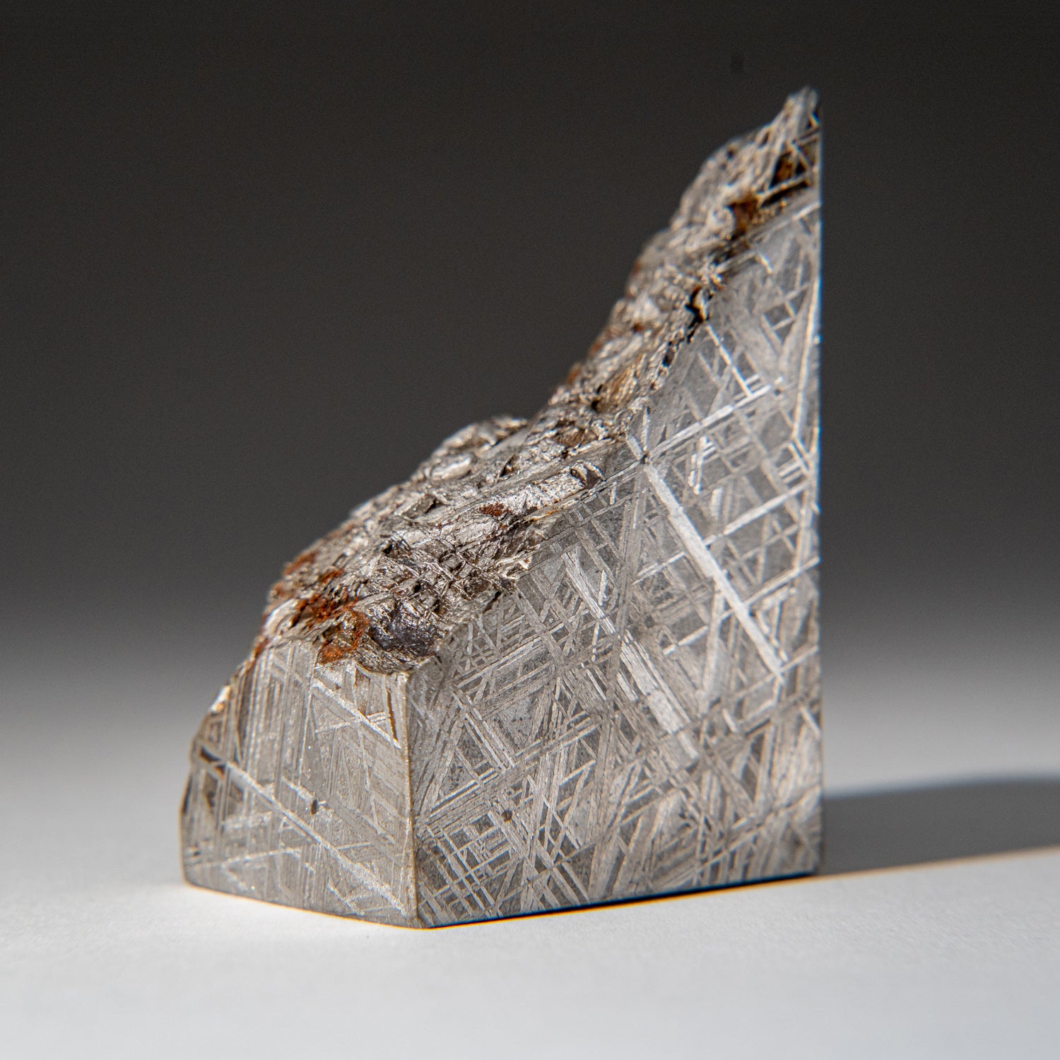 Genuine Muonionalusta Meteorite Slice (1.25 lbs)