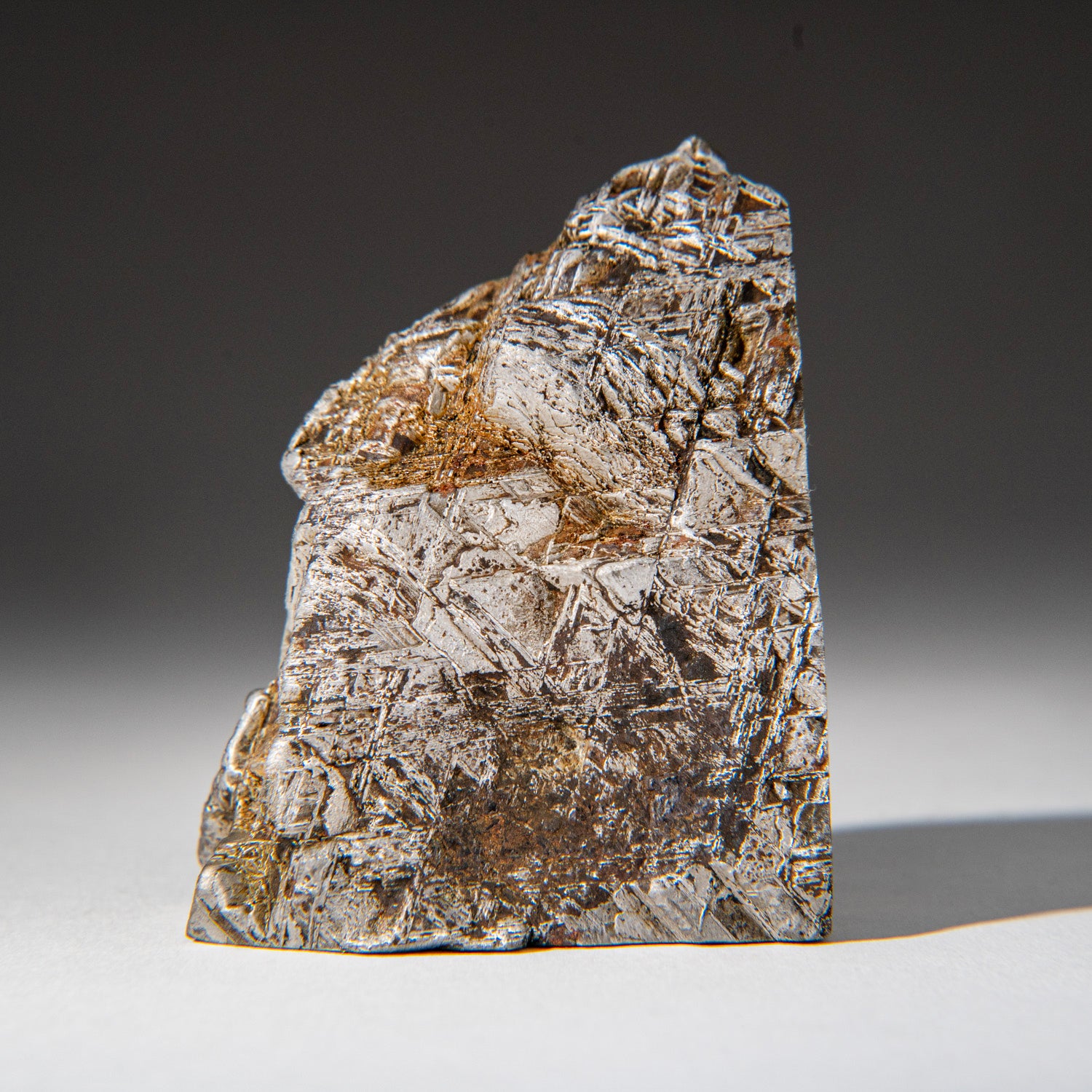 Genuine Muonionalusta Meteorite Slice (1.15 lbs)