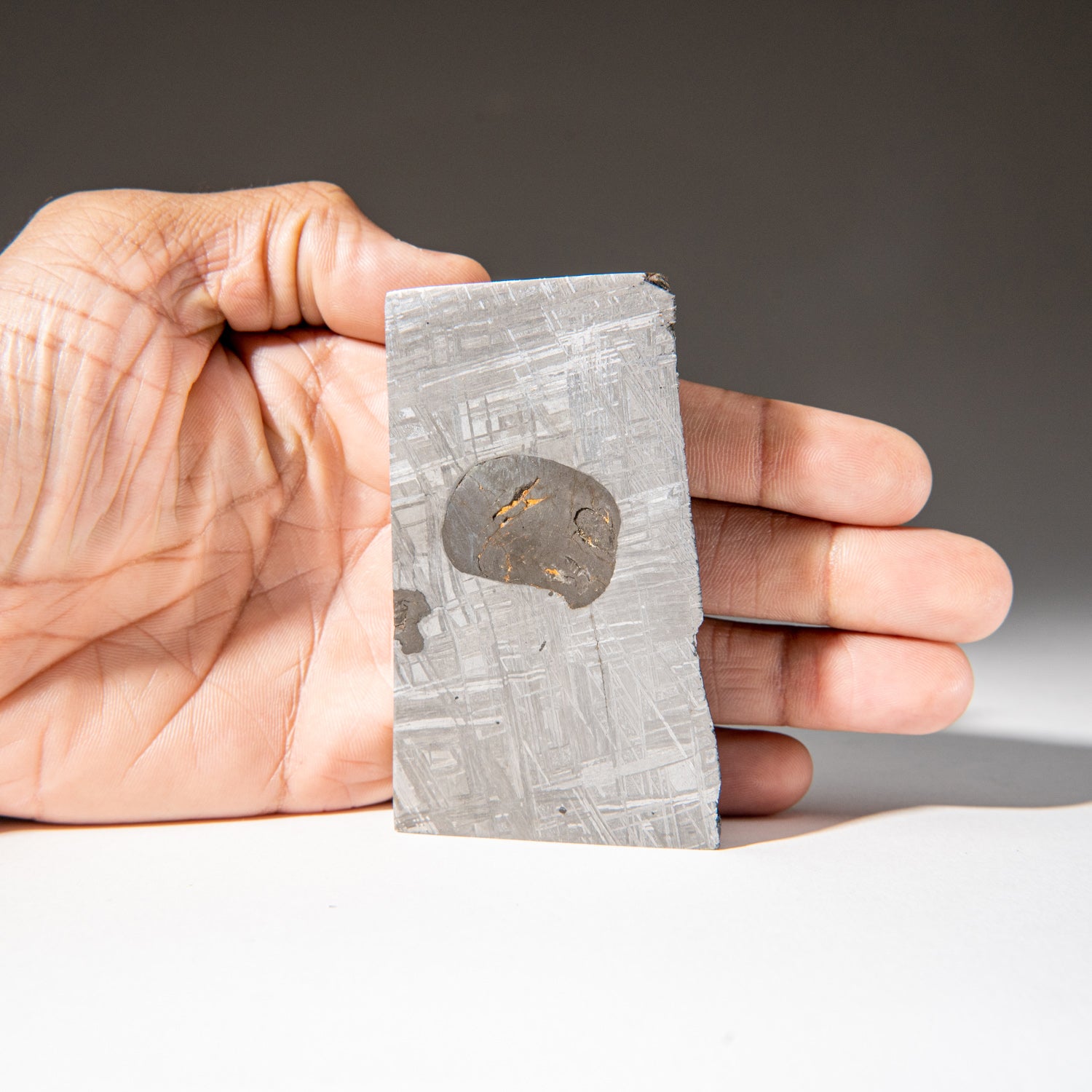 Genuine Muonionalusta Meteorite Slice (303.7 grams)