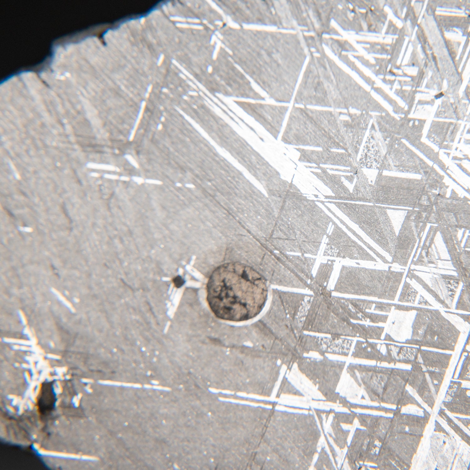 Genuine Muonionalusta Meteorite Slice (385 grams)
