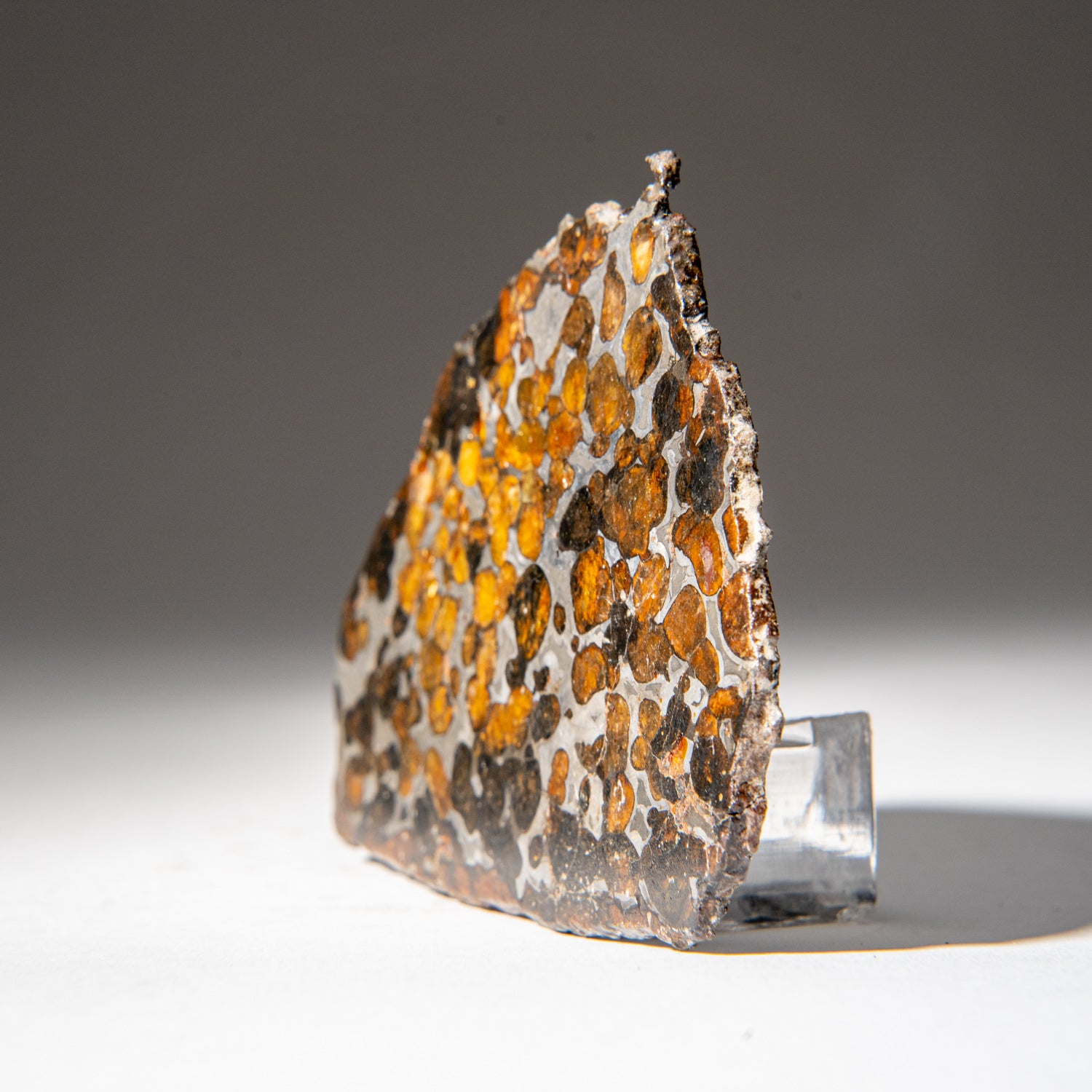 Genuine Sericho Pallasite Meteorite Slab (62.9 grams)