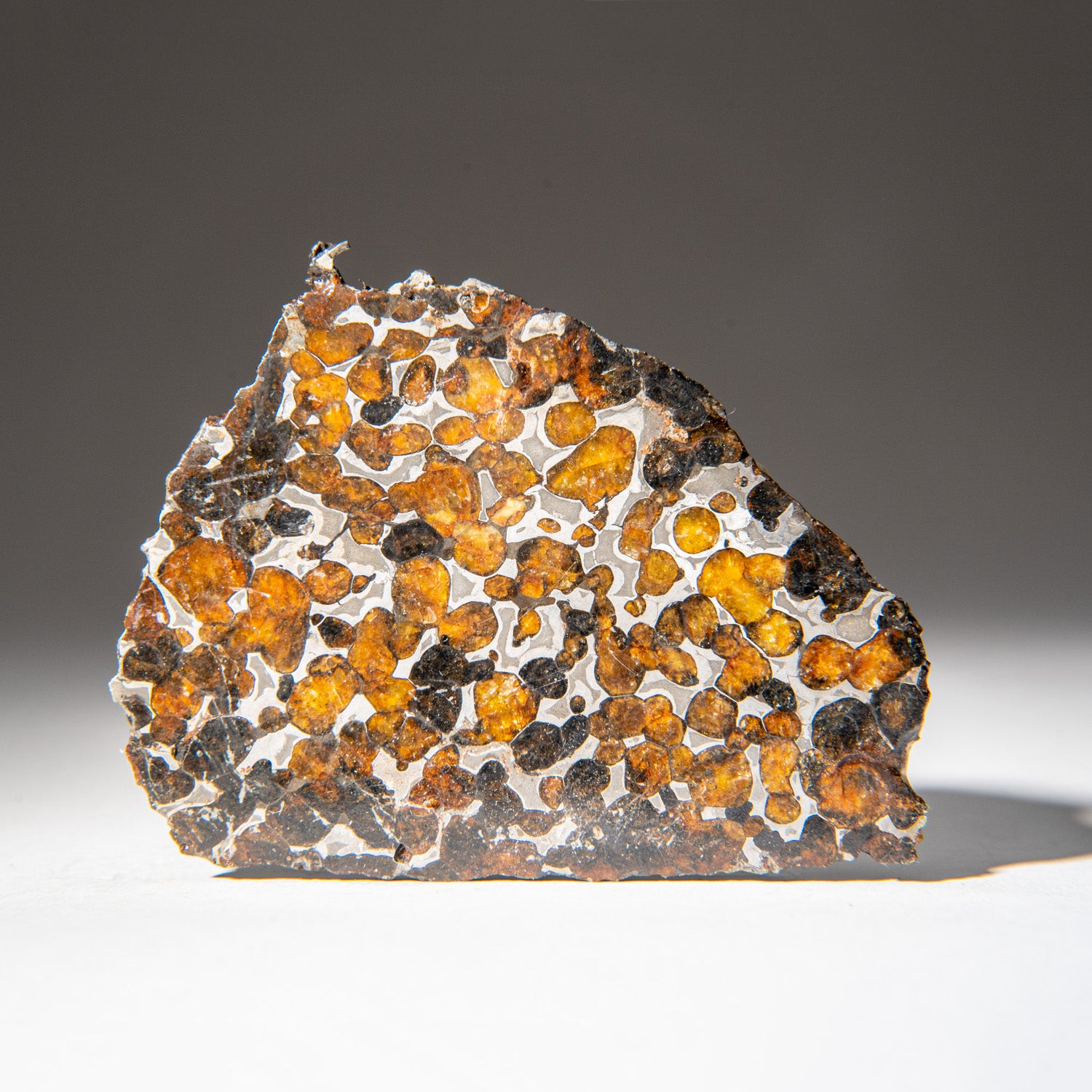 Genuine Sericho Pallasite Meteorite Slab (62.9 grams)