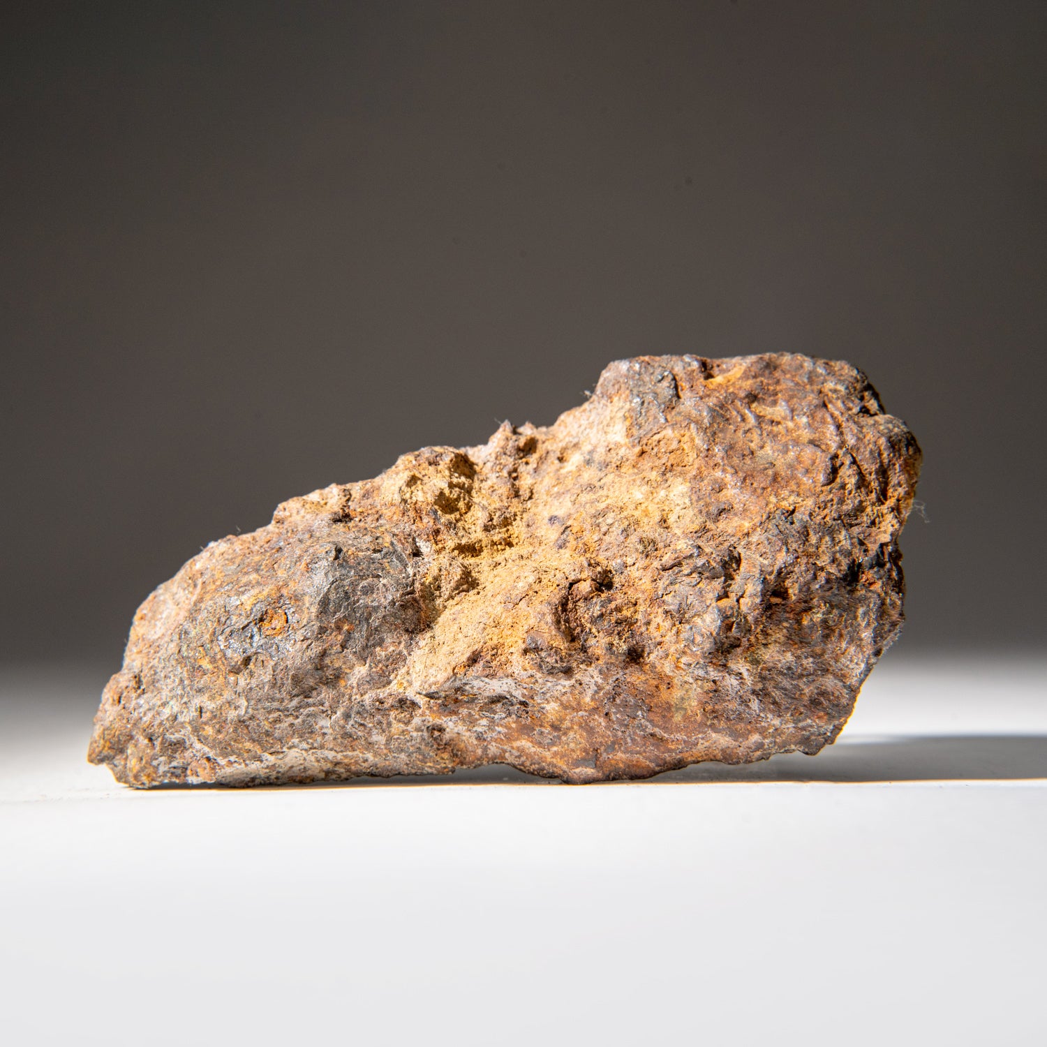 Genuine Sericho Pallasite Meteorite (394.3 grams)
