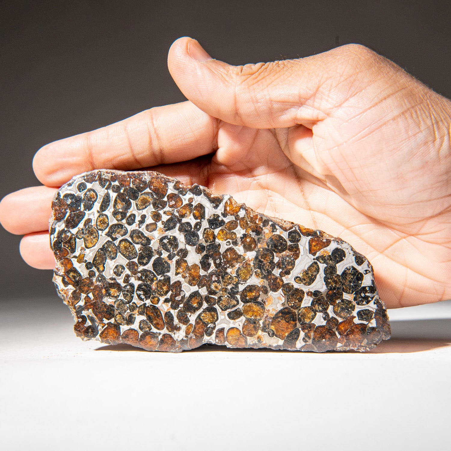 Genuine Sericho Pallasite Meteorite Slab (394.3 grams)