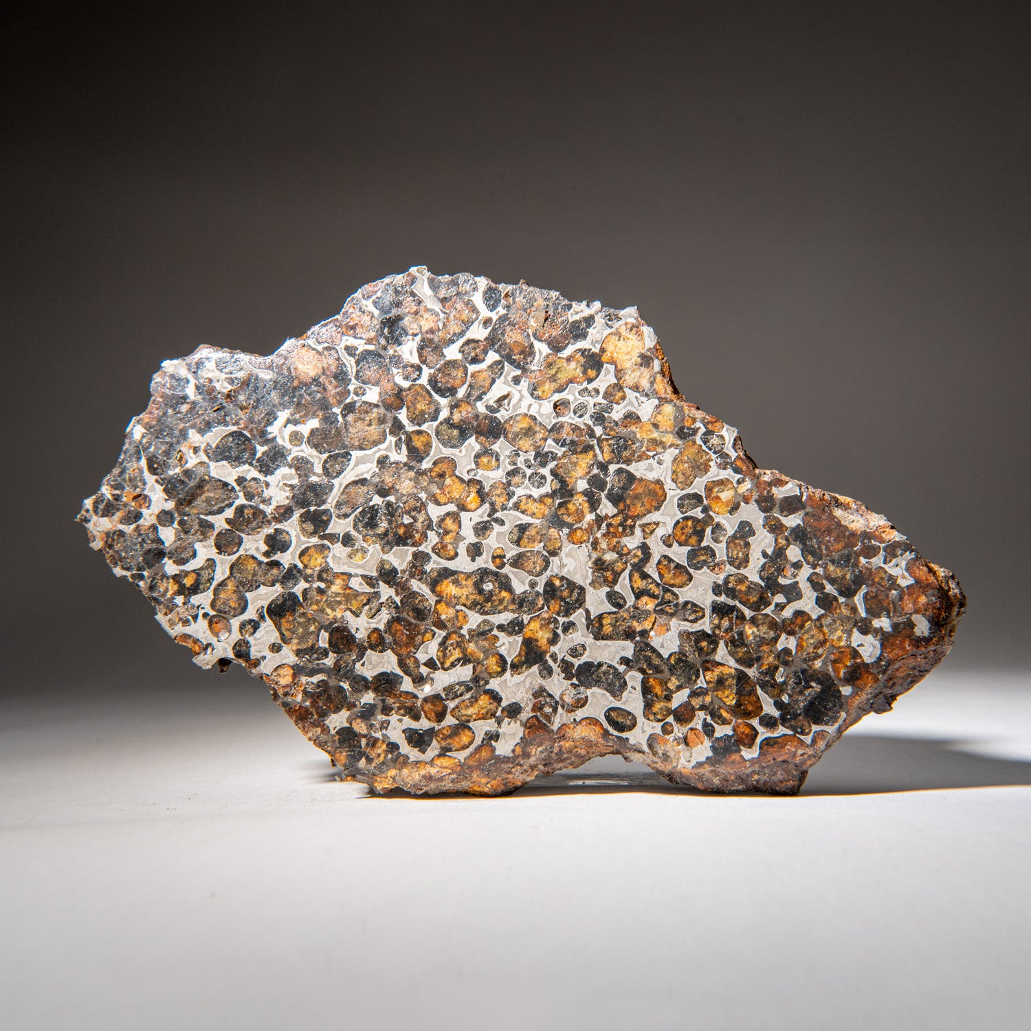 Genuine Sericho Pallasite Meteorite Slab (2.45 lbs)