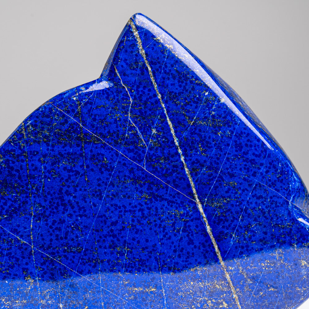 Polished Lapis Lazuli Freeform from Afghanistan (3 lbs)