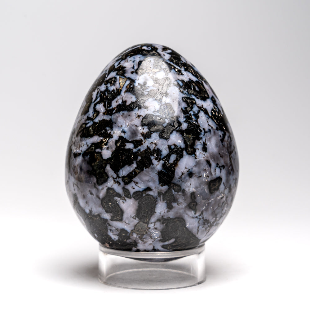 Genuine Polished Indigo Gabbro Egg from Madagascar (1.4 lbs)