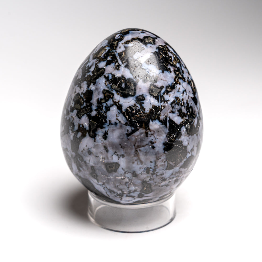 Genuine Polished Indigo Gabbro Egg from Madagascar (1.4 lbs)