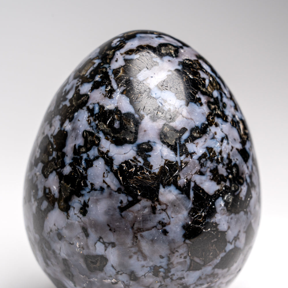 Genuine Polished Indigo Gabbro Egg from Madagascar (1.4 lbs)