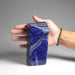 Polished Lapis Lazuli Freeform from Afghanistan (2.9 lbs) - Astro Gallery of Gems