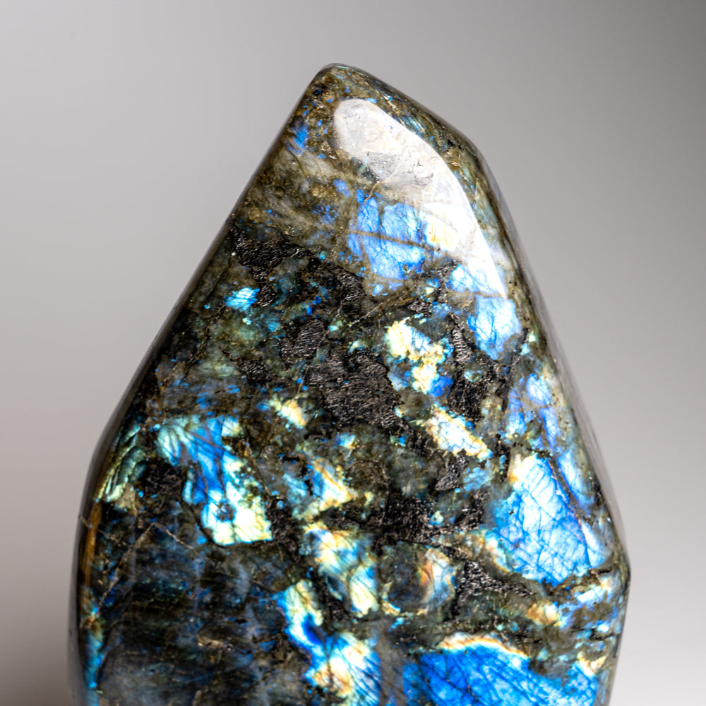 Polished Labradorite Freeform from Madagascar (12.2 lbs)